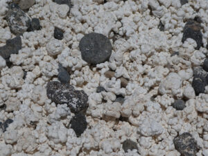 Popcorn Beach