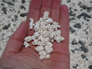 Popcorn Beach