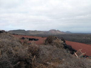 Rundfahrt durch den Timanfaya Nationalpark