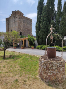 Agriturismo Torre Pernice