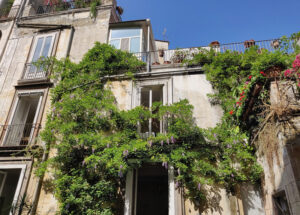 Palazzo Venezia