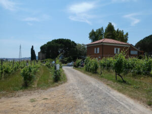 Agriturismo Torre Pernice