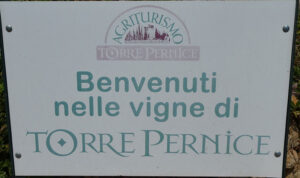 Agriturismo Torre Pernice