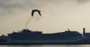 MSC Preziosa am Morgen