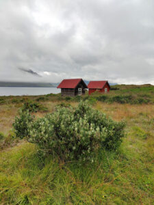 Skalánes