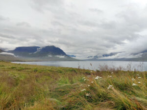 Skalánes