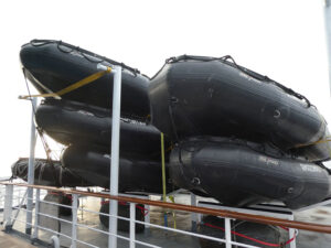 Zodiacs Deck 7