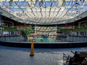 Jungle Pool