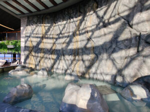 Jungle Pool