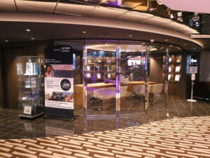 Future Cruise