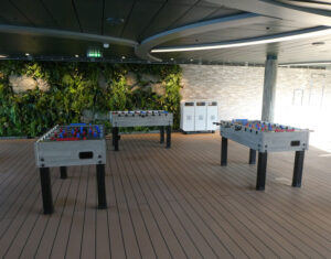 Jungle Pool Lounge