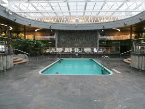 Jungle Pool