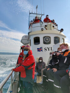 Whale Watching