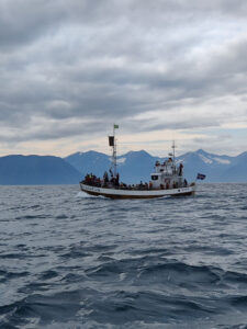 Whale Watching