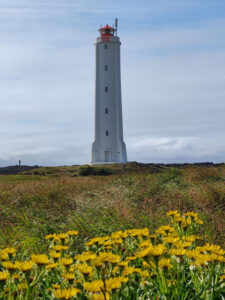 Leuchtturm Malarrif