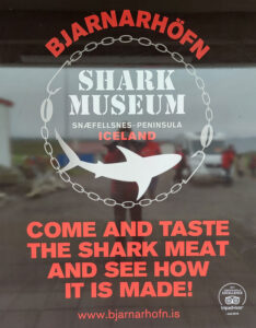 Shark Museum Bjarnarhöfn