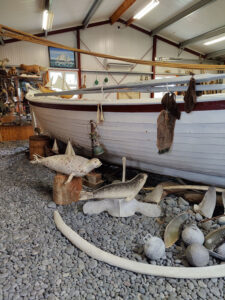 Shark Museum Bjarnarhöfn