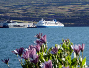 MS Seaventure