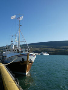 Whale Watching Boot