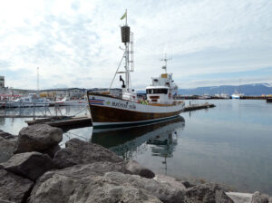 Húsavik