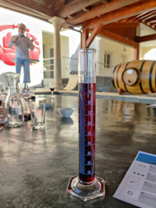 Wine Blending - Herr Stein im Hintergrund