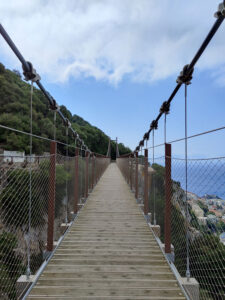 Windsor Suspension Bridge