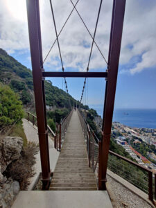 Windsor Suspension Bridge