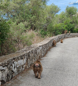 auf dem Weg zu Ape´s Den