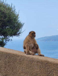 auf dem Weg zu Ape´s Den
