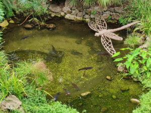 Botanischer Garten
