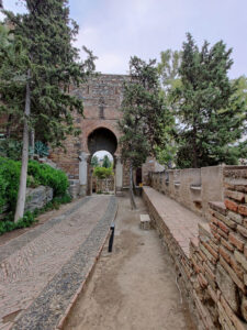 Alcazara