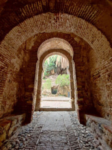 Alcazara