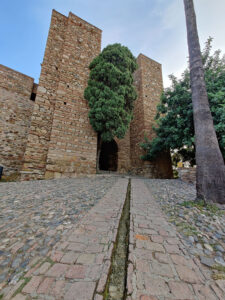 Alcazara
