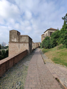 Alcazara