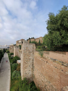 Alcazara