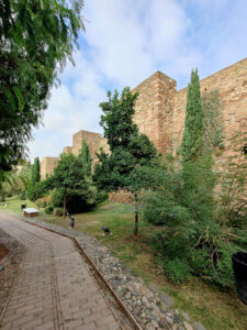 Alcazara