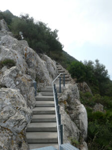 Douglas Path