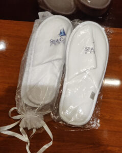 Slipper