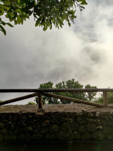 keine Aussicht im Lorbeerwald