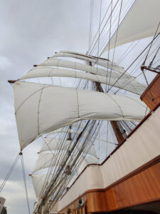 Segeln mit Wind