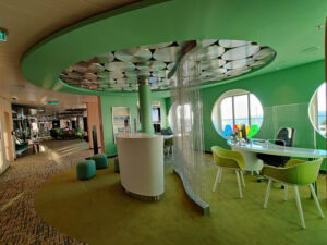 Cruise & Tours
