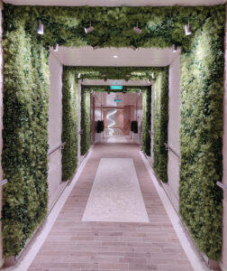 Weg zur Wellness Oase