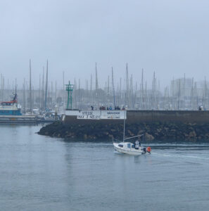 Cherbourg im Regen