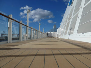Shuffleboard