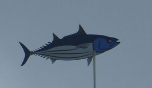 Wetterfisch