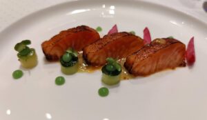 Miso Lachsforelle