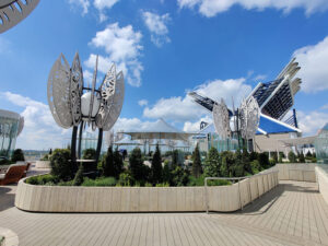 Rooftop Garden