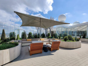 Rooftop Garden