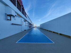 Shuffleboard