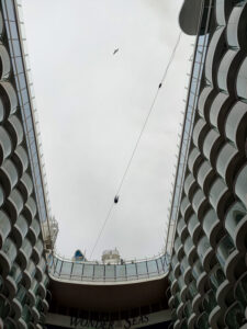 Zip Line
